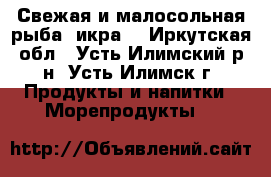 Свежая и малосольная рыба, икра. - Иркутская обл., Усть-Илимский р-н, Усть-Илимск г. Продукты и напитки » Морепродукты   